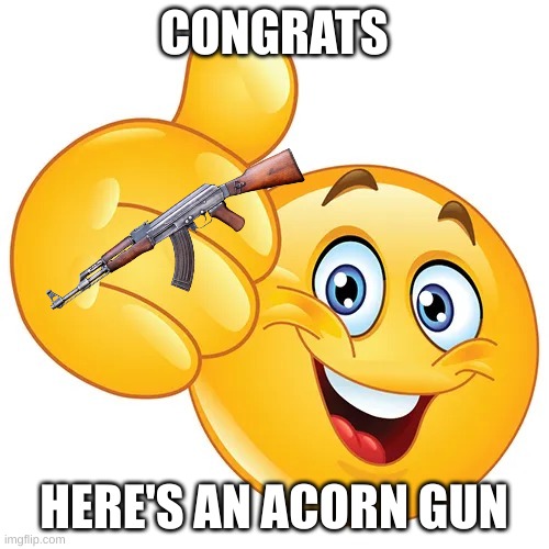 Thumbs up bitches | CONGRATS HERE'S AN ACORN GUN | image tagged in thumbs up bitches | made w/ Imgflip meme maker