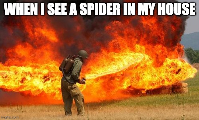 SPIDER | WHEN I SEE A SPIDER IN MY HOUSE | image tagged in nope flamethrower | made w/ Imgflip meme maker