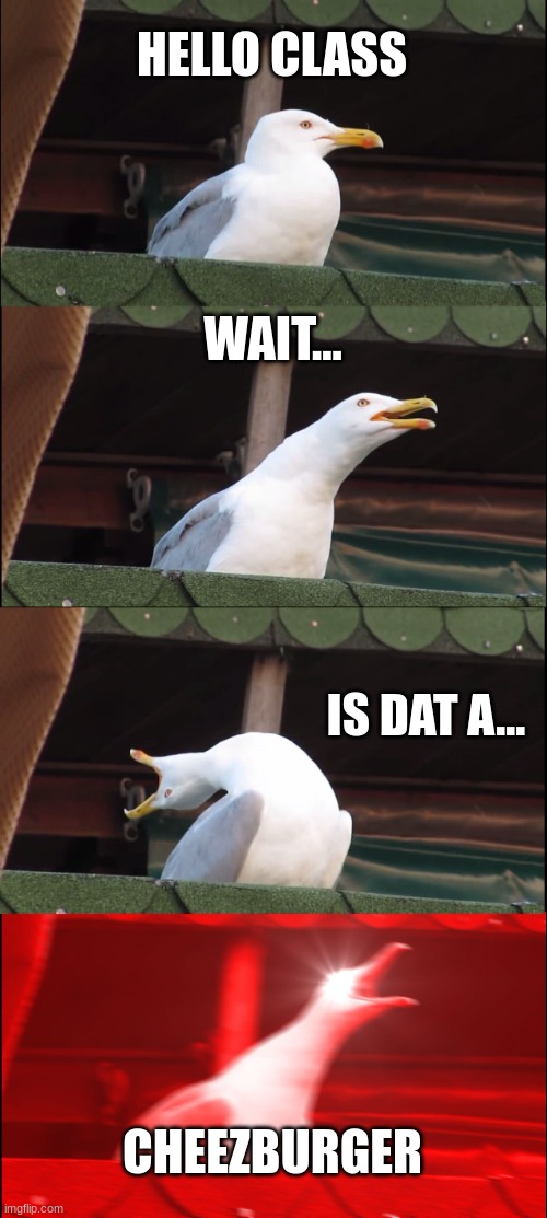 Inhaling Seagull Meme |  HELLO CLASS; WAIT... IS DAT A... CHEEZBURGER | image tagged in memes,inhaling seagull | made w/ Imgflip meme maker