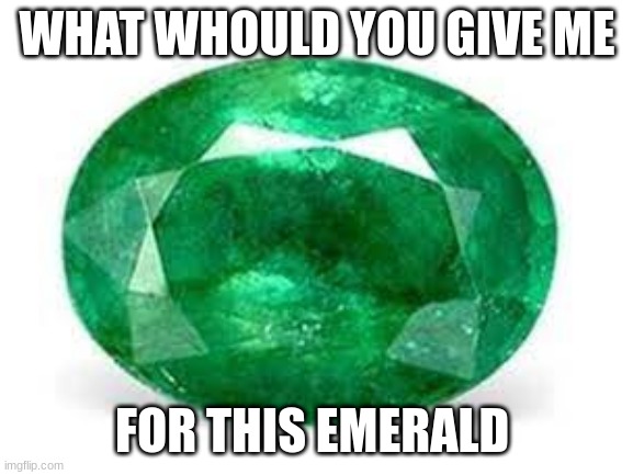 i would give 64 dirt | WHAT WHOULD YOU GIVE ME; FOR THIS EMERALD | image tagged in trade offer | made w/ Imgflip meme maker
