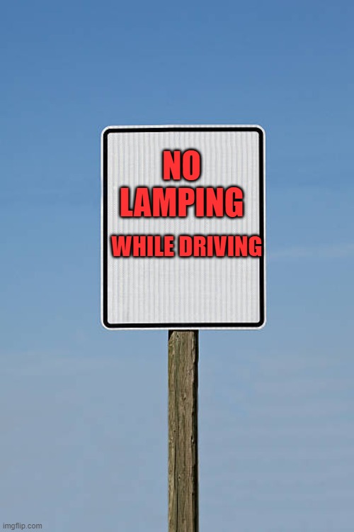 no lamping while driving | WHILE DRIVING; NO LAMPING | image tagged in bring back moth memes,mothing | made w/ Imgflip meme maker