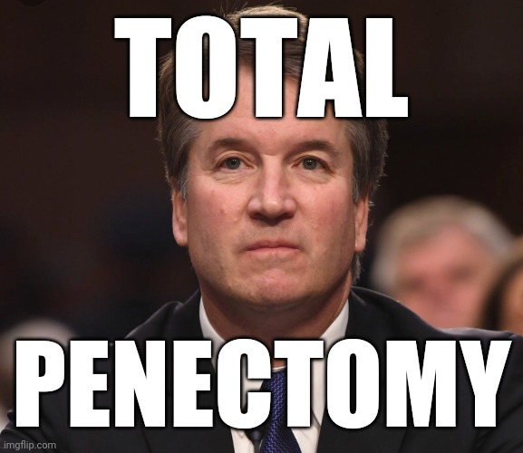 One way to reduce the number of abortions | TOTAL; PENECTOMY | image tagged in brett kavanaugh,sexual predator,abortion,dick,rape culture,neuter rapists | made w/ Imgflip meme maker