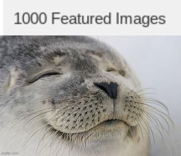 image tagged in memes,satisfied seal | made w/ Imgflip meme maker