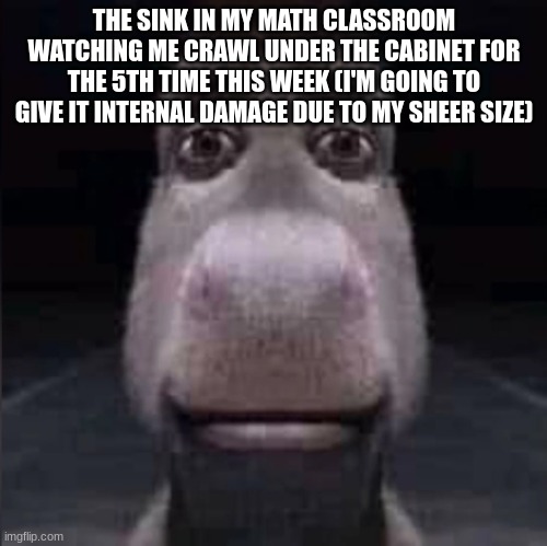 donkey stare | THE SINK IN MY MATH CLASSROOM WATCHING ME CRAWL UNDER THE CABINET FOR THE 5TH TIME THIS WEEK (I'M GOING TO GIVE IT INTERNAL DAMAGE DUE TO MY SHEER SIZE) | image tagged in donkey stare | made w/ Imgflip meme maker