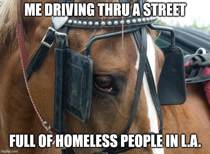 horse blinders | ME DRIVING THRU A STREET; FULL OF HOMELESS PEOPLE IN L.A. | image tagged in out of site out of mind | made w/ Imgflip meme maker