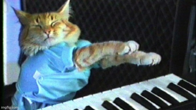 Piano cat | image tagged in piano cat | made w/ Imgflip meme maker