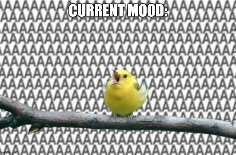 I know there is a Rowlet version of this but I’m too lazy to search it up | CURRENT MOOD: | made w/ Imgflip meme maker