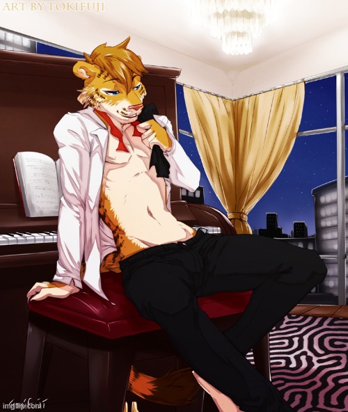 Piano (By Tokifuji) | image tagged in furry,femboy,cute,piano | made w/ Imgflip meme maker