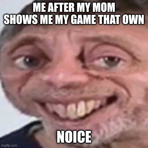 Noice | ME AFTER MY MOM SHOWS ME MY GAME THAT OWN; NOICE | image tagged in noice | made w/ Imgflip meme maker