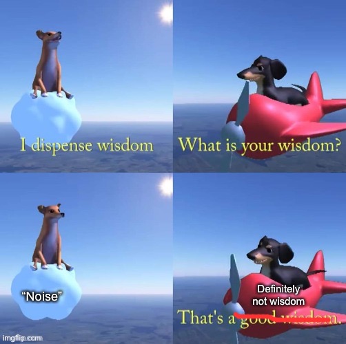 Wisdom dog | “Noise”; Definitely not wisdom | image tagged in wisdom dog | made w/ Imgflip meme maker