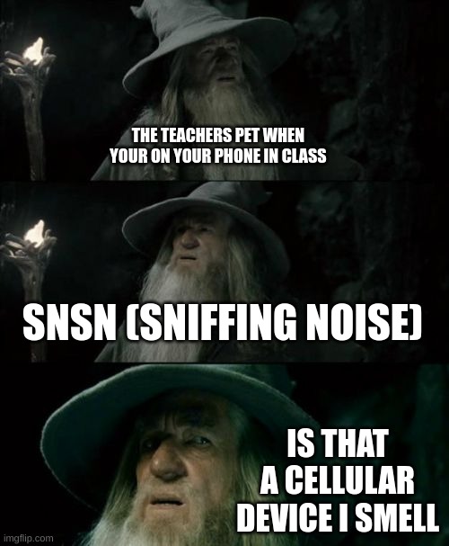 Teachers Pet Secret Sense | THE TEACHERS PET WHEN YOUR ON YOUR PHONE IN CLASS; SNSN (SNIFFING NOISE); IS THAT A CELLULAR DEVICE I SMELL | image tagged in memes,confused gandalf | made w/ Imgflip meme maker
