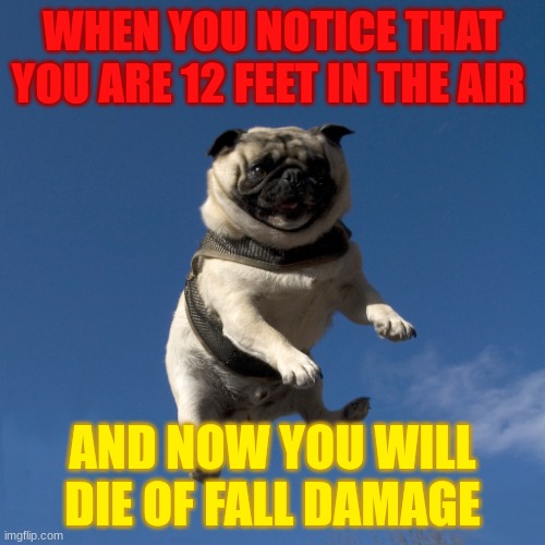 Flying pug (Mod note: Not much related to cats, but Imma let it slide) | WHEN YOU NOTICE THAT YOU ARE 12 FEET IN THE AIR; AND NOW YOU WILL DIE OF FALL DAMAGE | image tagged in flying pug | made w/ Imgflip meme maker
