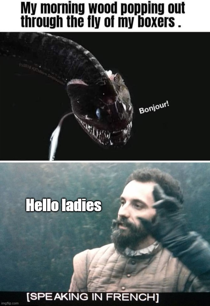 Hello ladies | image tagged in speaking in french | made w/ Imgflip meme maker