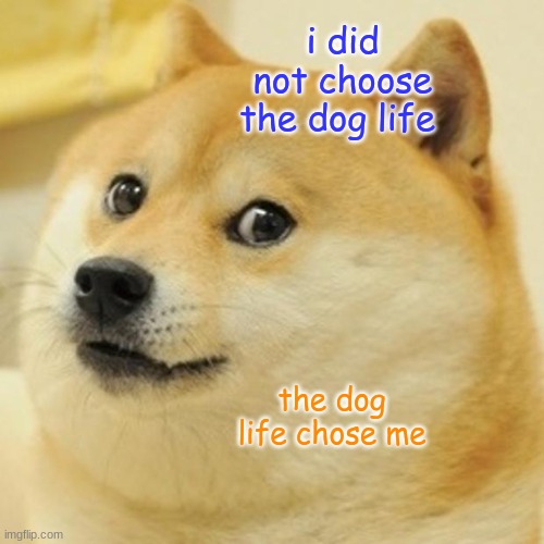 Doge |  i did not choose the dog life; the dog life chose me | image tagged in memes,doge | made w/ Imgflip meme maker