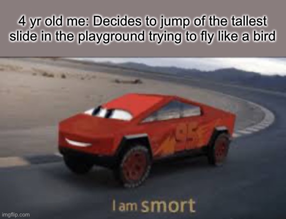 Weeeee |  4 yr old me: Decides to jump of the tallest slide in the playground trying to fly like a bird | image tagged in i am smort | made w/ Imgflip meme maker