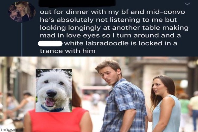 I mean yeah | image tagged in distracted boyfriend,dogs,dog | made w/ Imgflip meme maker