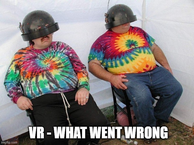 Virtual Reality | VR - WHAT WENT WRONG | image tagged in vr,virtual reality | made w/ Imgflip meme maker
