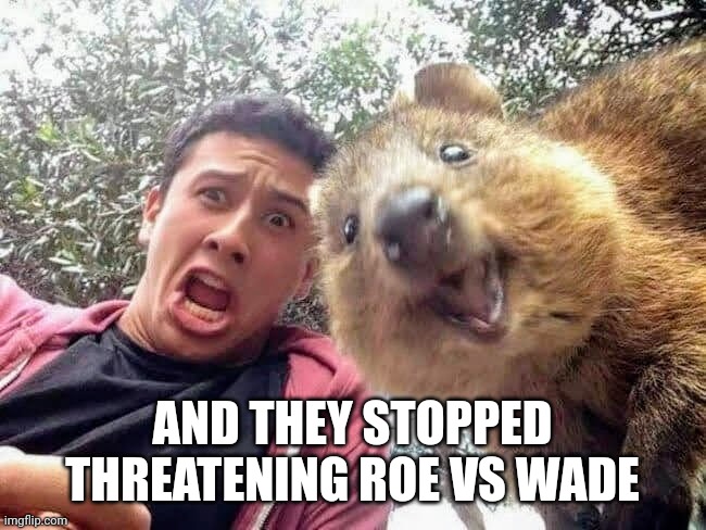 Quokka and Stan | AND THEY STOPPED THREATENING ROE VS WADE | image tagged in quokka and stan | made w/ Imgflip meme maker