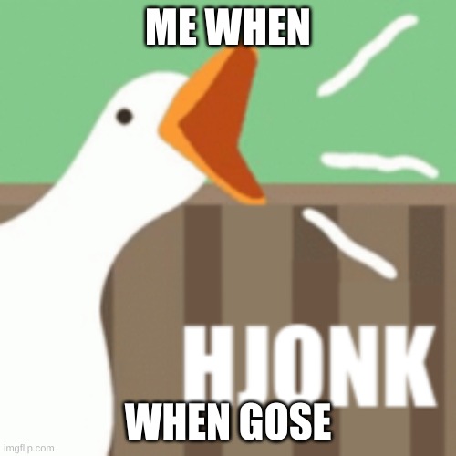 honmk | ME WHEN; WHEN GOSE | image tagged in goose | made w/ Imgflip meme maker