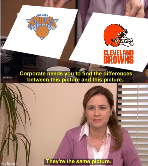 1 good season | image tagged in they're the same picture,new york knicks,cleveland browns,stop reading the tags | made w/ Imgflip meme maker