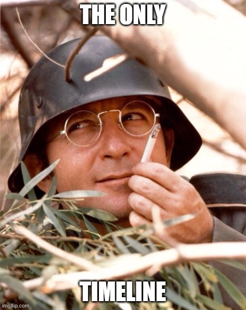 Wolfgang the German soldier | THE ONLY TIMELINE | image tagged in wolfgang the german soldier | made w/ Imgflip meme maker
