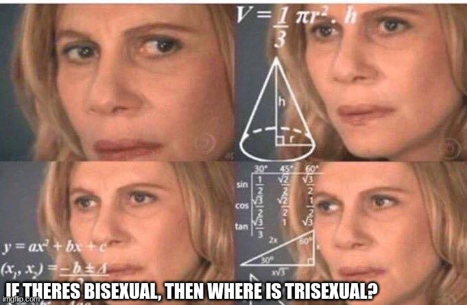 lol | IF THERES BISEXUAL, THEN WHERE IS TRISEXUAL? | image tagged in math lady/confused lady | made w/ Imgflip meme maker