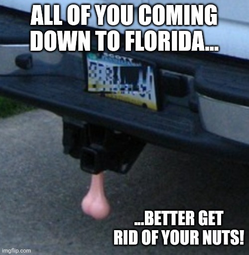 Truck nuts, first thing RONNY BANNED.... |  ALL OF YOU COMING DOWN TO FLORIDA... ...BETTER GET RID OF YOUR NUTS! | made w/ Imgflip meme maker