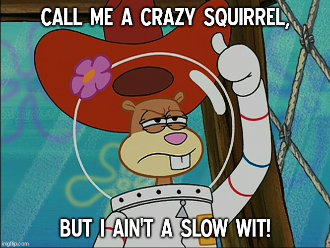 Call me a crazy squirrel |  CALL ME A CRAZY SQUIRREL, BUT I AIN'T A SLOW WIT! | image tagged in sandy cheeks,memes,spongebob squarepants,sandy cheeks cowboy hat,squirrel,funny meme | made w/ Imgflip meme maker