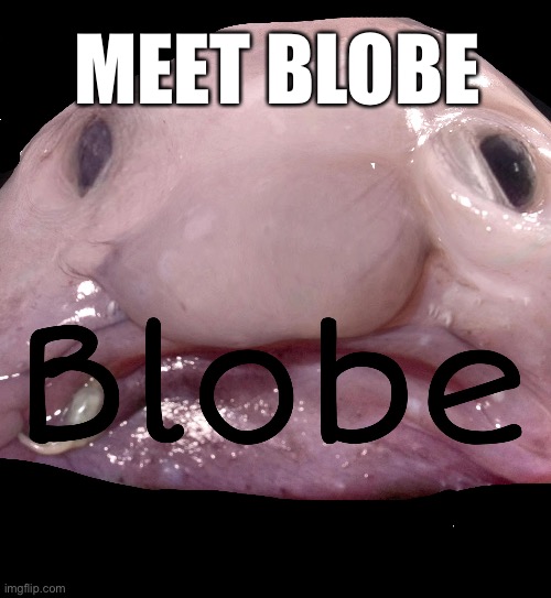 My new creation Blobe!!!! | MEET BLOBE | image tagged in funny | made w/ Imgflip meme maker