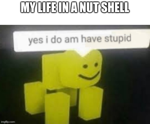yes i do am have stupid | MY LIFE IN A NUT SHELL | image tagged in yes i do am have stupid | made w/ Imgflip meme maker