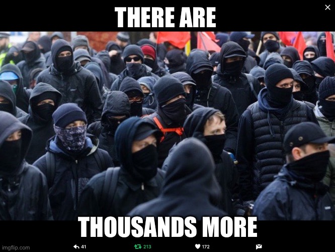 Antifa | THERE ARE THOUSANDS MORE | image tagged in antifa | made w/ Imgflip meme maker