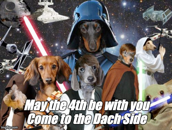 May the 4th be with you
Come to the Dach Side | image tagged in star wars,may the 4th | made w/ Imgflip meme maker