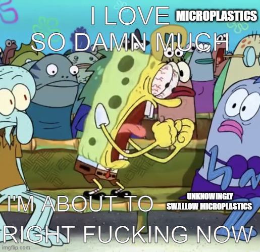 yum microplastics | I LOVE
SO DAMN MUCH; MICROPLASTICS; UNKNOWINGLY SWALLOW MICROPLASTICS; I'M ABOUT TO; RIGHT FUCKING NOW | image tagged in spongebob yelling | made w/ Imgflip meme maker