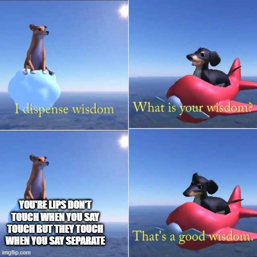 Wisdom Dog | YOU'RE LIPS DON'T TOUCH WHEN YOU SAY TOUCH BUT THEY TOUCH WHEN YOU SAY SEPARATE | image tagged in wisdom dog | made w/ Imgflip meme maker