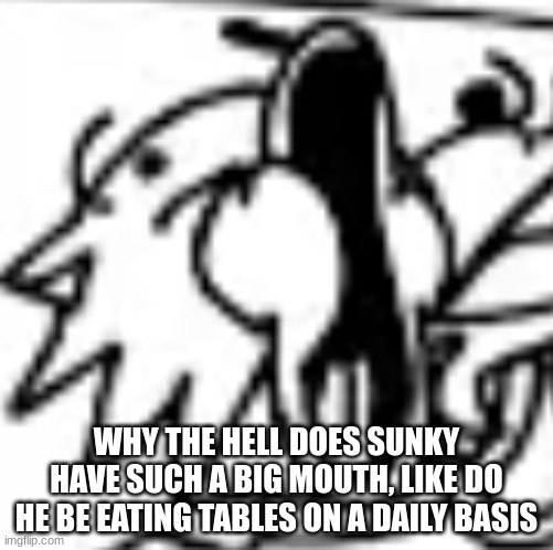 sunky pog | WHY THE HELL DOES SUNKY HAVE SUCH A BIG MOUTH, LIKE DO HE BE EATING TABLES ON A DAILY BASIS | image tagged in sunky pog | made w/ Imgflip meme maker