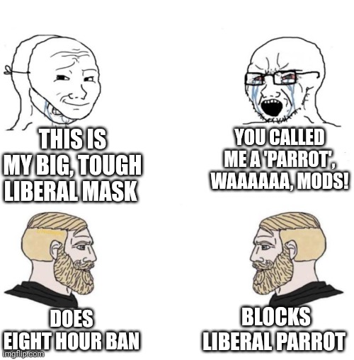 Those damn Yankees |  THIS IS MY BIG, TOUGH LIBERAL MASK; YOU CALLED ME A 'PARROT', WAAAAAA, MODS! BLOCKS LIBERAL PARROT; DOES EIGHT HOUR BAN | image tagged in chad we know | made w/ Imgflip meme maker