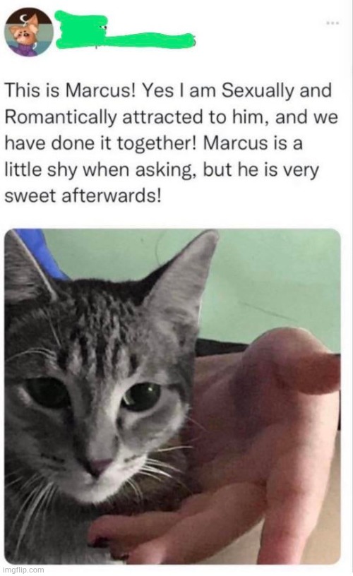 What the fuсk | made w/ Imgflip meme maker