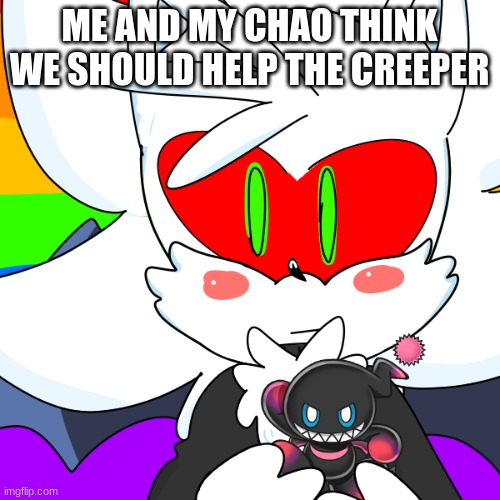ME AND MY CHAO THINK WE SHOULD HELP THE CREEPER | made w/ Imgflip meme maker