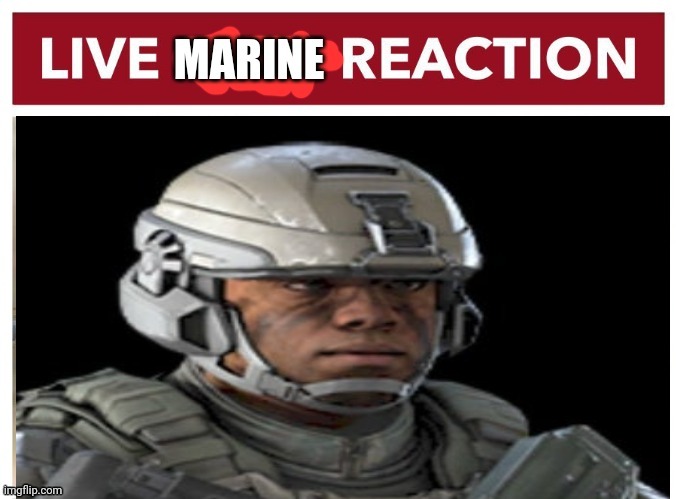 Live marine reaction | image tagged in live marine reaction | made w/ Imgflip meme maker