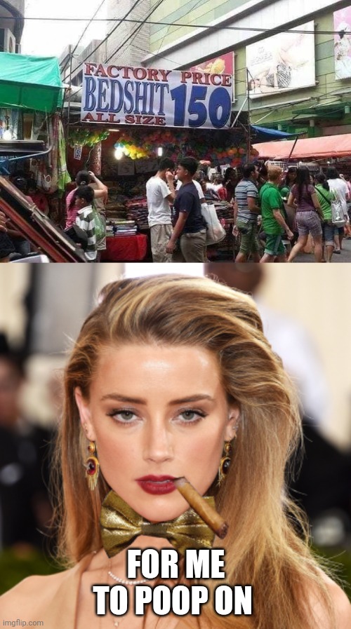 FOR ME TO POOP ON | image tagged in amber heard insult comic dog | made w/ Imgflip meme maker