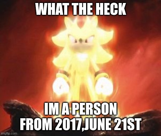 Super Shadow | WHAT THE HECK IM A PERSON FROM 2017,JUNE 21ST | image tagged in super shadow | made w/ Imgflip meme maker