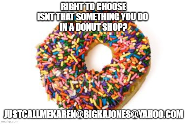 donut | RIGHT TO CHOOSE
ISNT THAT SOMETHING YOU DO 
IN A DONUT SHOP? JUSTCALLMEKAREN@BIGKAJONES@YAHOO.COM | image tagged in donut | made w/ Imgflip meme maker