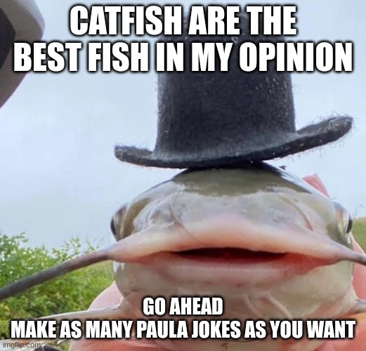 catfish drip | CATFISH ARE THE BEST FISH IN MY OPINION; GO AHEAD
MAKE AS MANY PAULA JOKES AS YOU WANT | image tagged in catfish drip | made w/ Imgflip meme maker