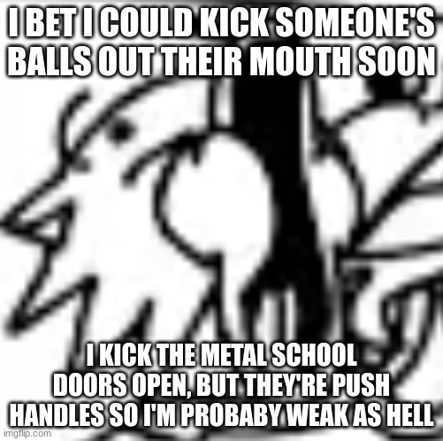 sunky pog | I BET I COULD KICK SOMEONE'S BALLS OUT THEIR MOUTH SOON; I KICK THE METAL SCHOOL DOORS OPEN, BUT THEY'RE PUSH HANDLES SO I'M PROBABY WEAK AS HELL | image tagged in sunky pog | made w/ Imgflip meme maker