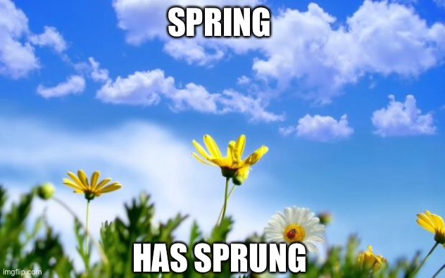 Eyeroll or no? | SPRING; HAS SPRUNG | image tagged in spring,maybe,sprung | made w/ Imgflip meme maker