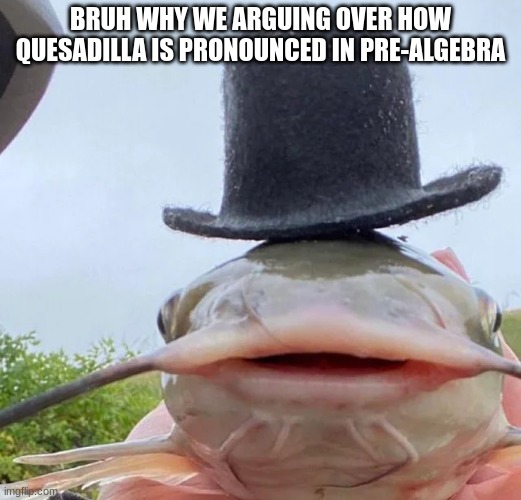 catfish drip | BRUH WHY WE ARGUING OVER HOW QUESADILLA IS PRONOUNCED IN PRE-ALGEBRA | image tagged in catfish drip | made w/ Imgflip meme maker