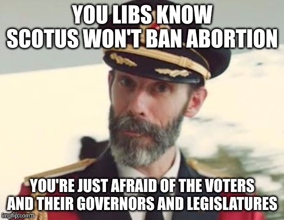 abortion | YOU LIBS KNOW SCOTUS WON'T BAN ABORTION; YOU'RE JUST AFRAID OF THE VOTERS AND THEIR GOVERNORS AND LEGISLATURES | image tagged in capt obvious | made w/ Imgflip meme maker