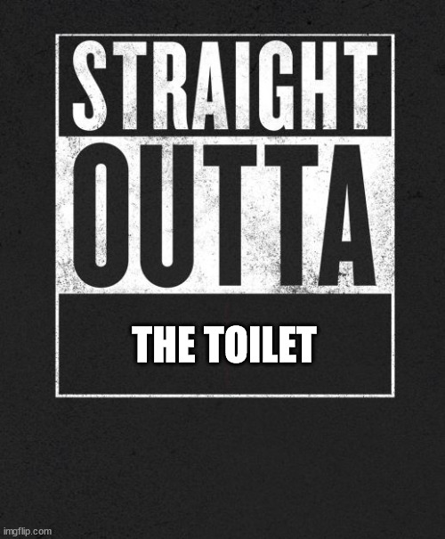 Straight Outta X blank template | THE TOILET | image tagged in straight outta x blank template | made w/ Imgflip meme maker