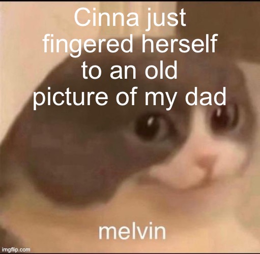 I am very uncomfortable | Cinna just fingered herself to an old picture of my dad | image tagged in melvin | made w/ Imgflip meme maker