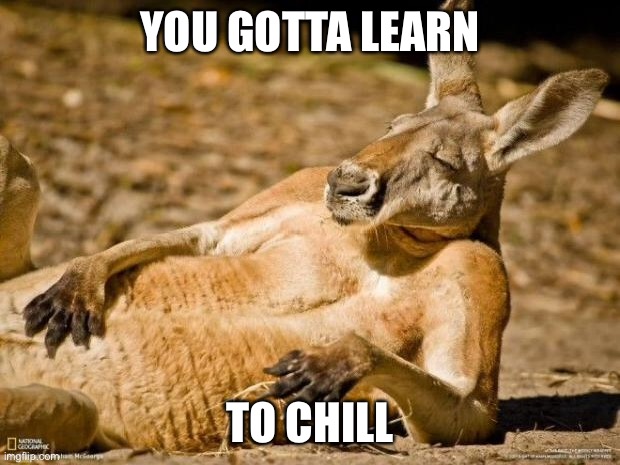 Kanga be like | YOU GOTTA LEARN; TO CHILL | image tagged in chillin kangaroo,chill,roo | made w/ Imgflip meme maker